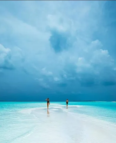 5a26a3ac-856c-49cf-999c-f6036822ca4a