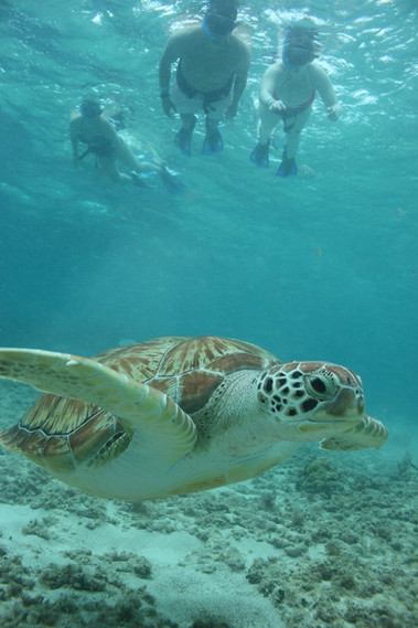 664f56_04b28d5ba9ce4877a86b35ad8473c520~mv2