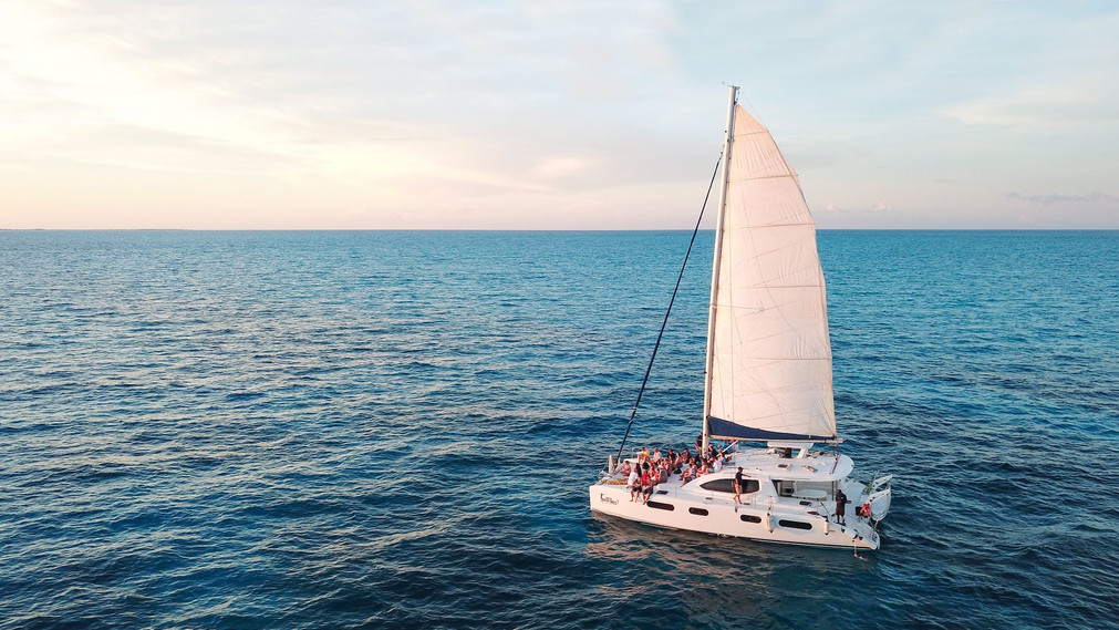 664f56_4ca82586ab8841bd9f11506c673c69b3~mv2