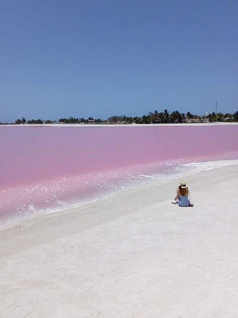 664f56_56a43d4a062c40dfbe7fe983ad8d30e5~mv2