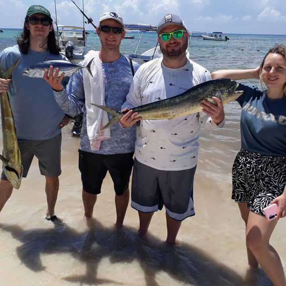 664f56_57a9be4474014997884bb3d423e0f481~mv2