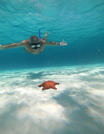 664f56_735c44c1d48a498baf3d82b8bce1903a~mv2