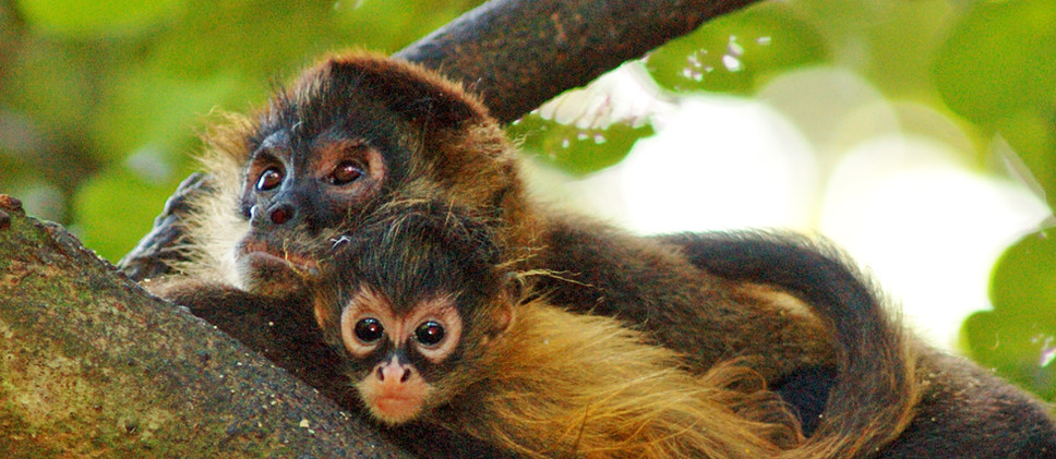 664f56_7751228a750a4d11bf32f64a800c0116~mv2