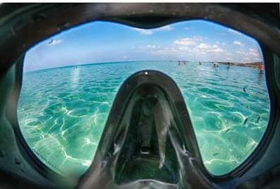 664f56_7910a446234f4babb8d5b5f3d0988b56~mv2