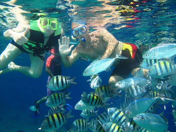 664f56_7a20920c4b7f4b56afcf307087d277f9~mv2