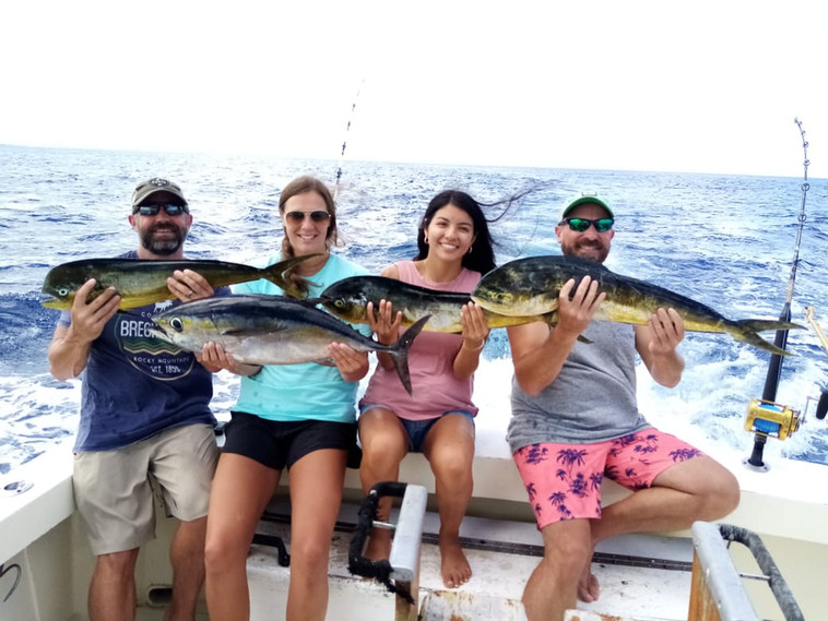 664f56_94c956ee63ff481298aea390d1a11973~mv2