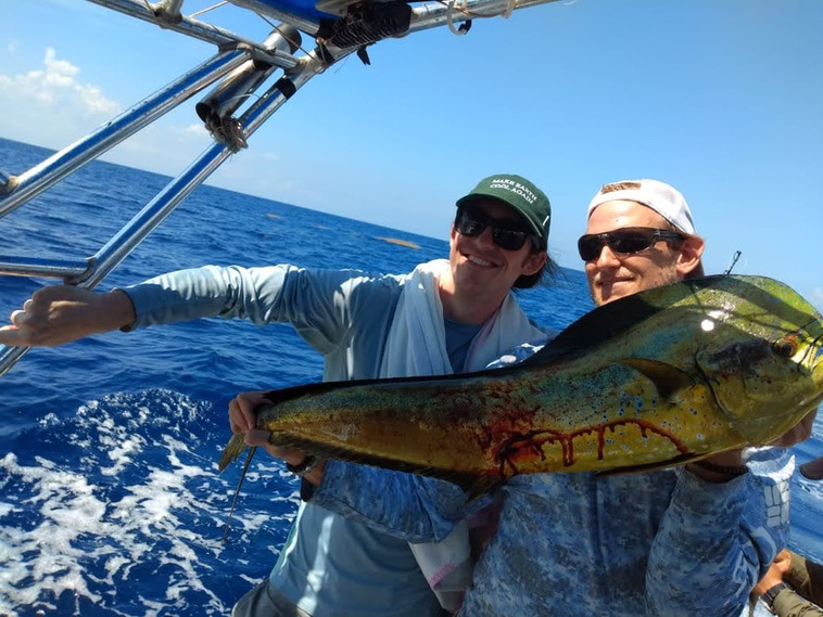 664f56_a1f71ce1b83a44138278749fda1be53c~mv2