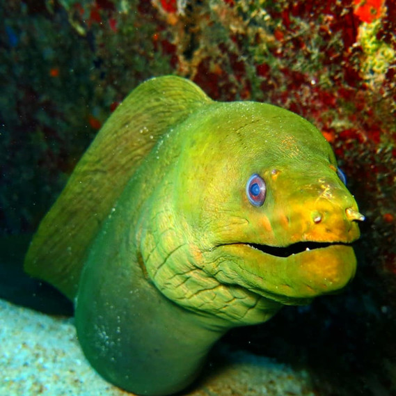 664f56_a5b22da976d34554a813a3ea3d4c9129~mv2