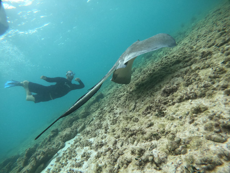 664f56_aaf84c65219540379a42c38d156cd7e4~mv2