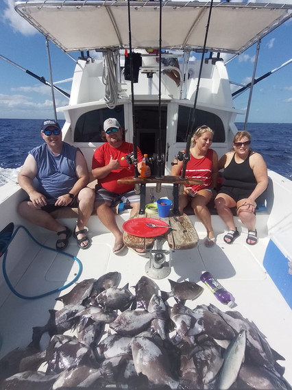 664f56_bf5dda8d30bd43cd91815520c8375a5d~mv2