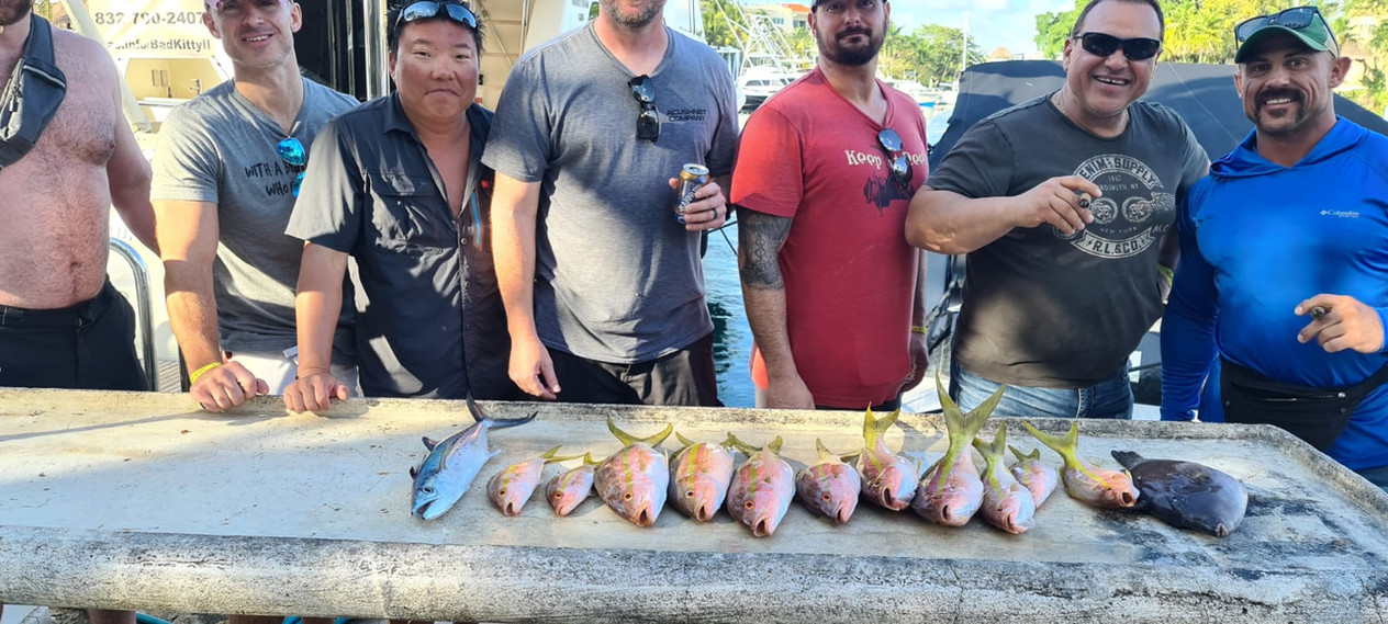 664f56_c2fcf10878fa4f1e975bb7135c743d49~mv2