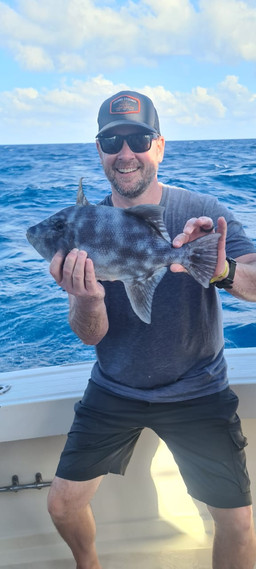 664f56_d0bbda2fcf44461584473ac6fb00240a~mv2