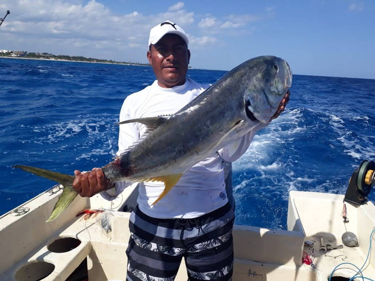 664f56_d3aa4ff597804161b2a8fb45e07c7fca~mv2