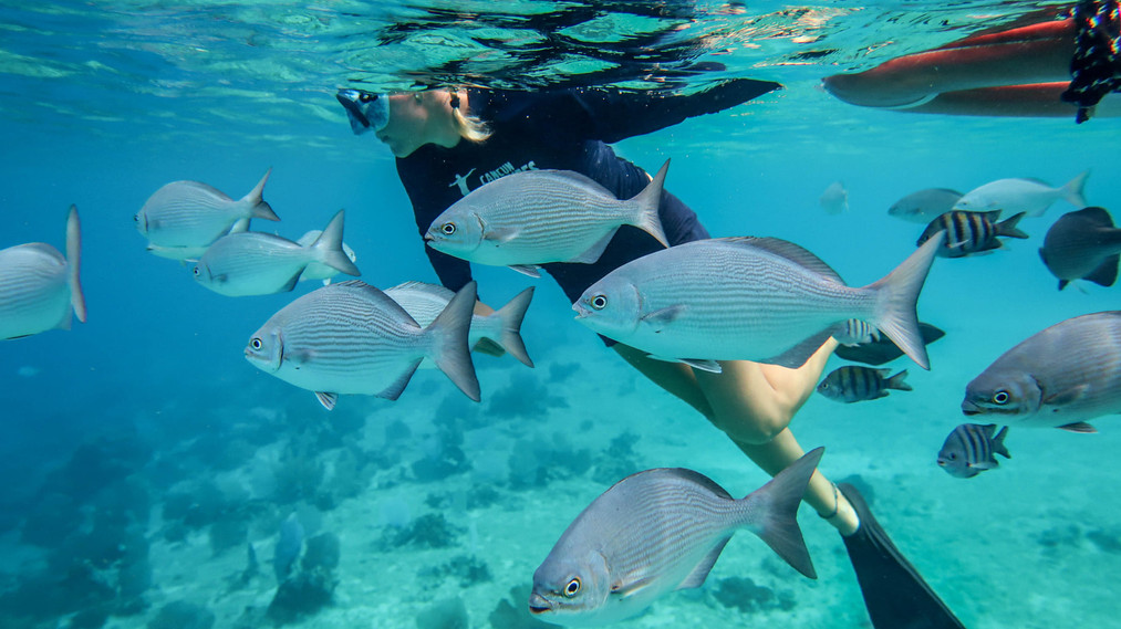 664f56_f53dabe670ea4eed9dfe41c4731d56e2~mv2